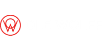 Ole Wolff Electronics Inc MFG Image